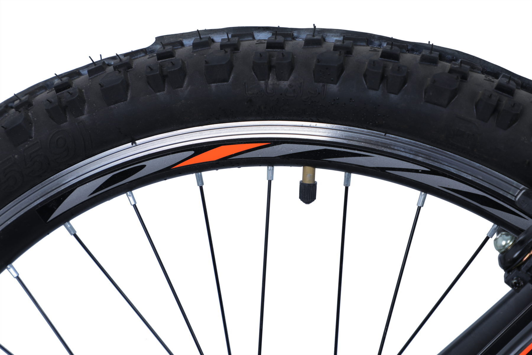 M46Size26 دینوموتور